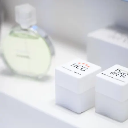 Apartment Placa Del Vi