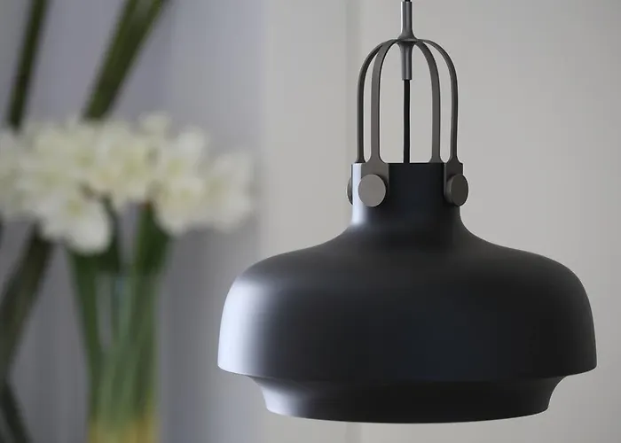 Daire Placa Del Vi *